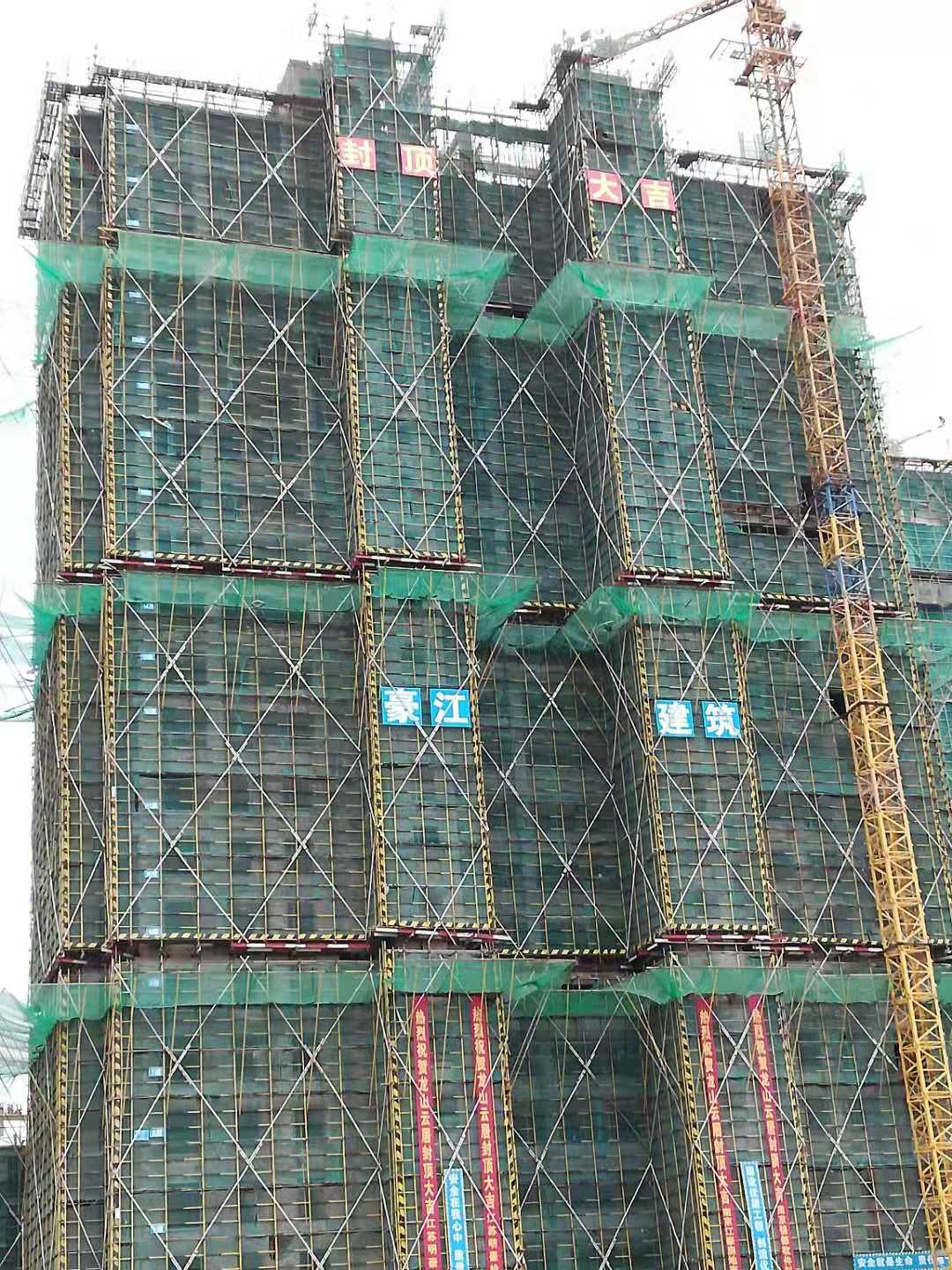 1544519226352645.jpg